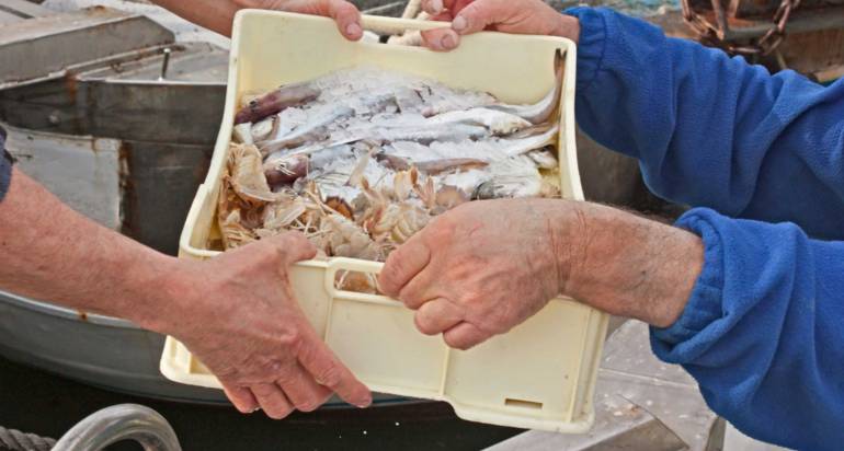 Strong sales of lionfish are phenomenal